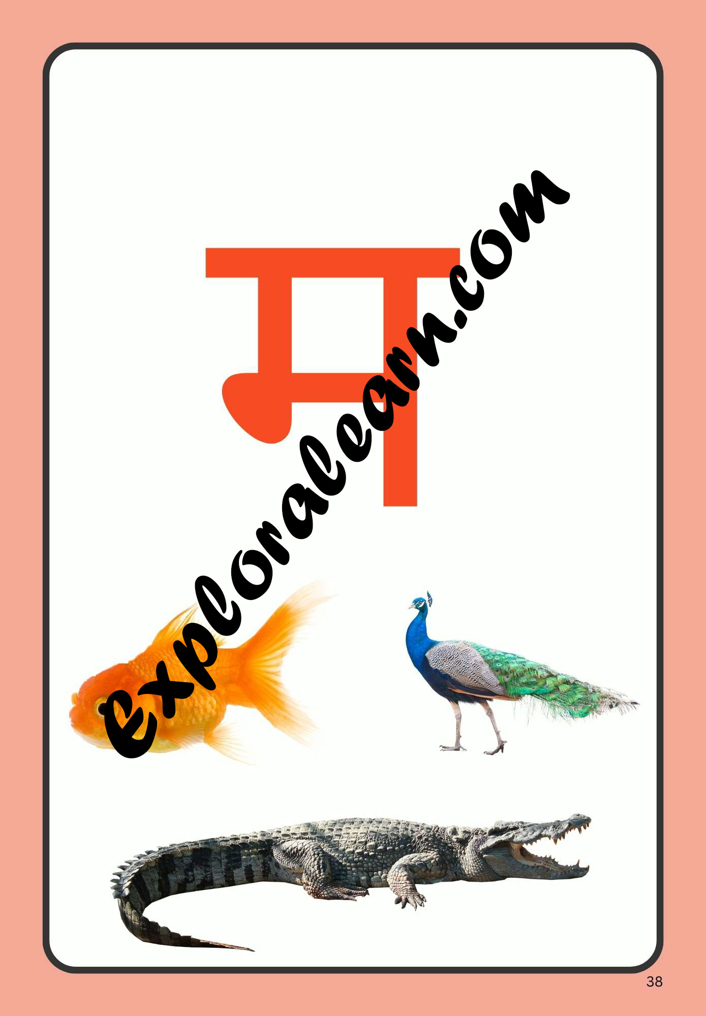 Hindi Flashcard for म