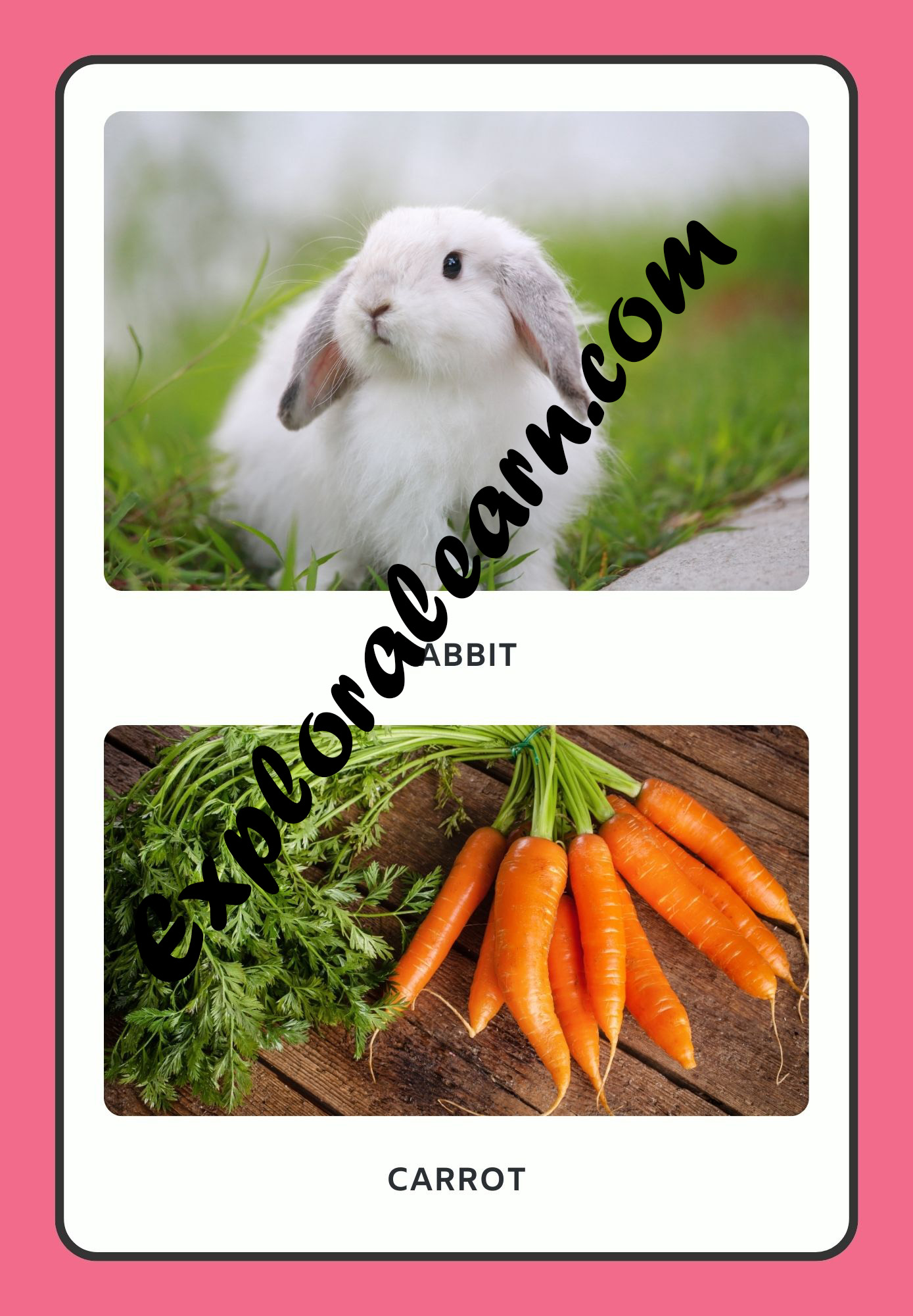 Animals & Food Flashcard 3