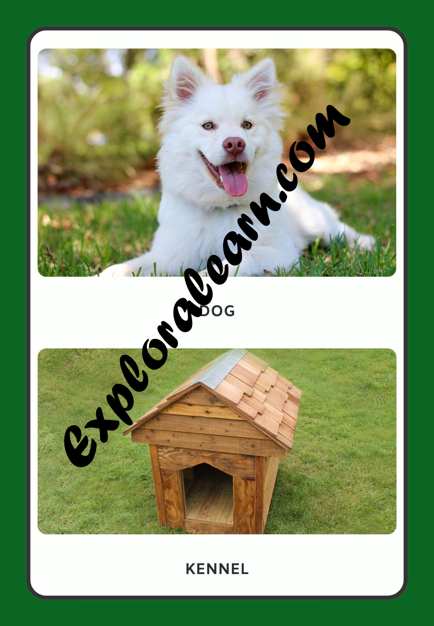 Animals & Homes Flashcard 1