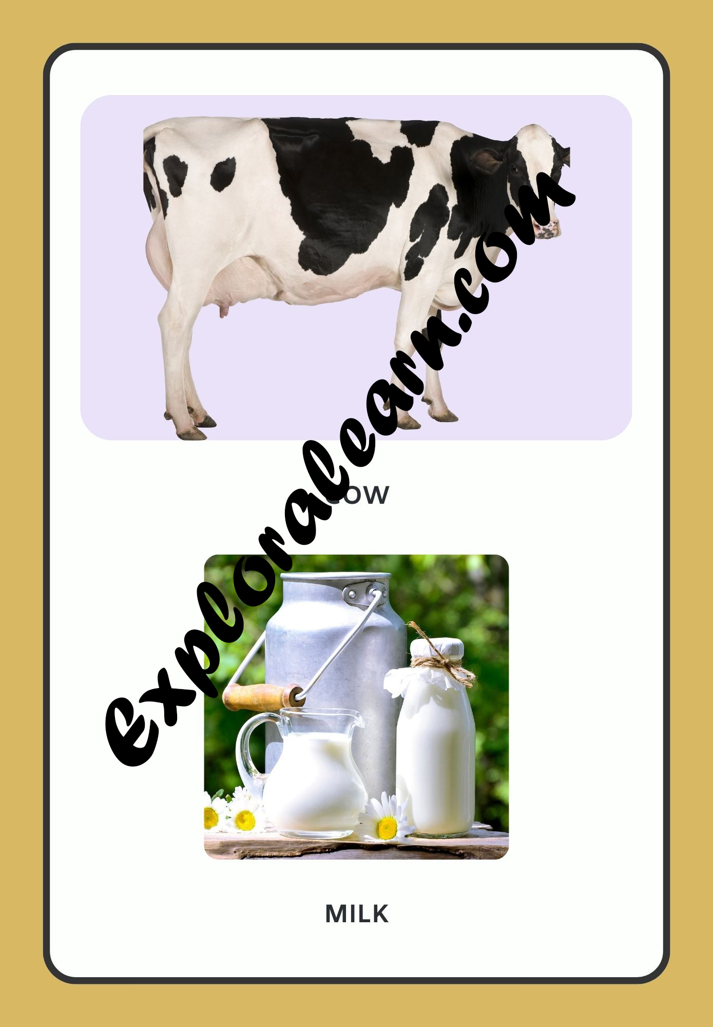 Animals & Uses Flashcard 1