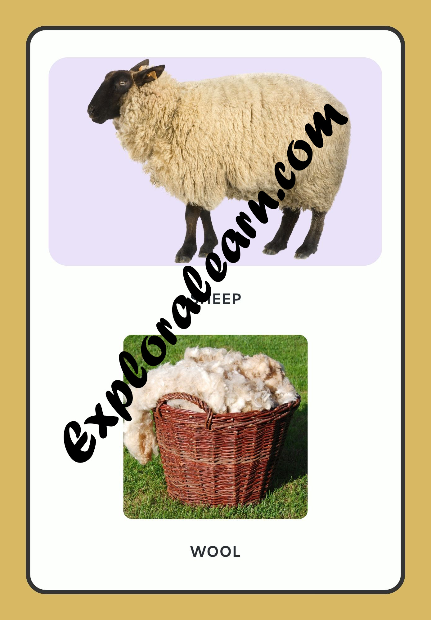 Animals & Uses Flashcard 2