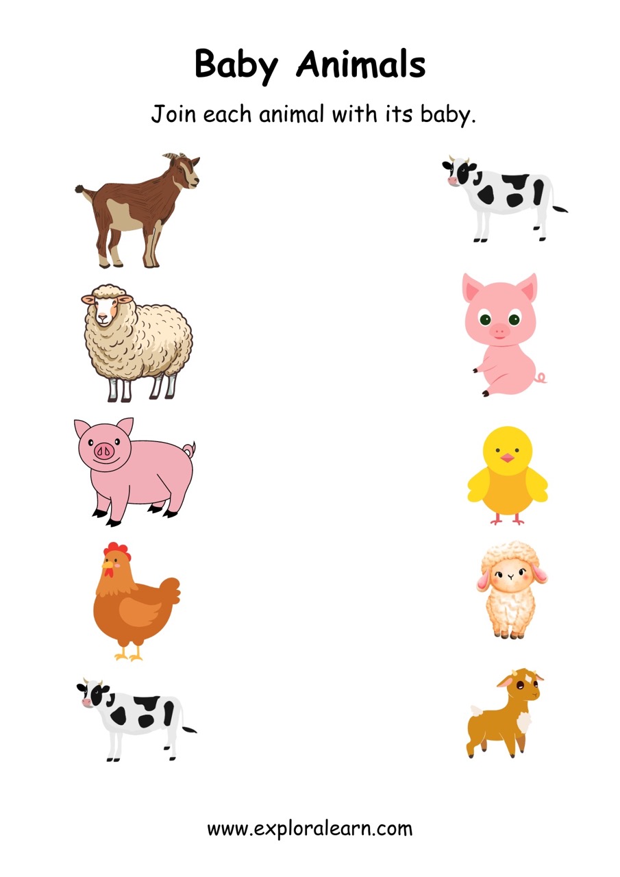 Animals and Babies Worksheets for Preschool and Kindergarten 2 to 6 ...