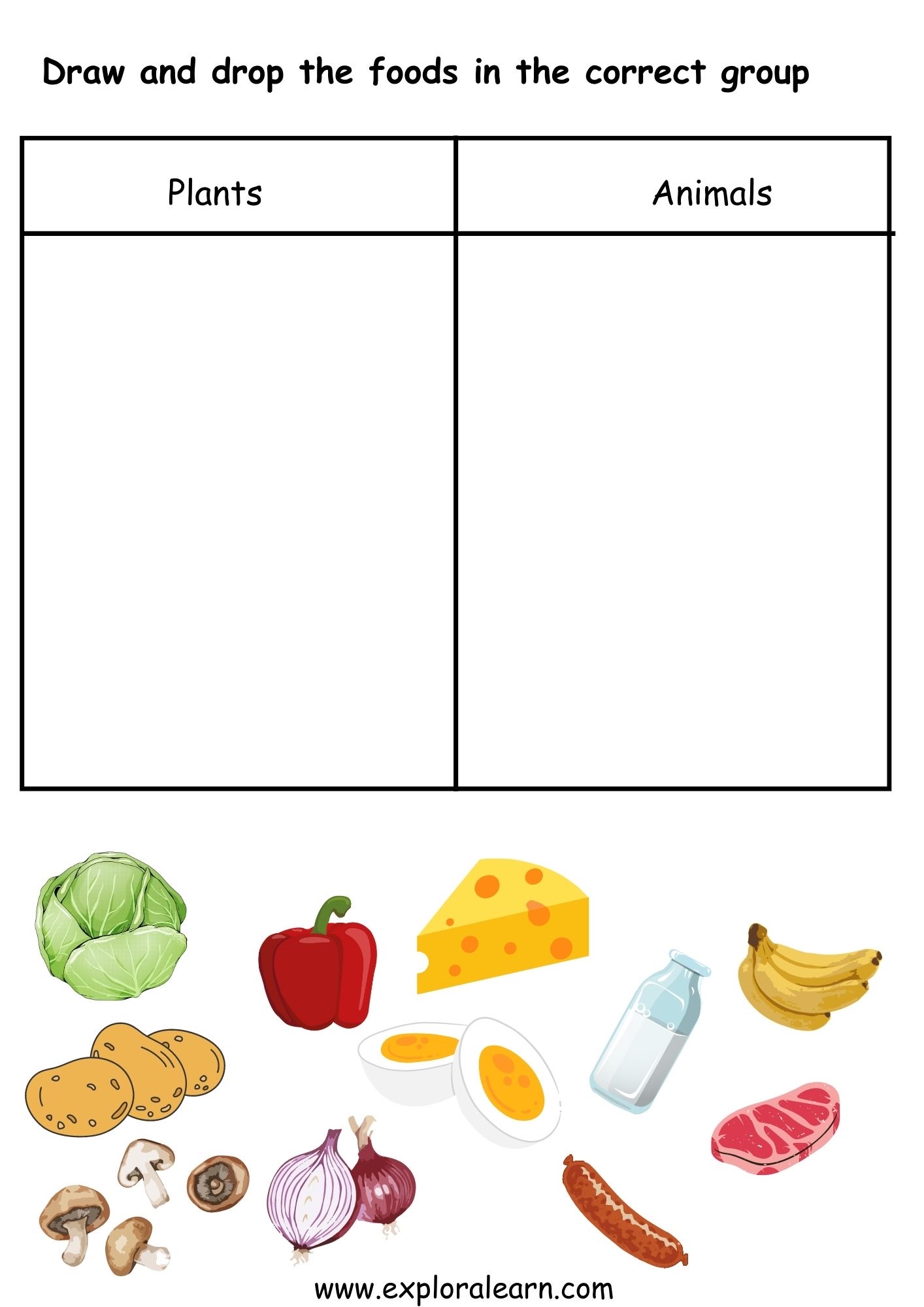 Food Activities Worksheets For Preschool And Kindergarten 2 To 6 Years Kids