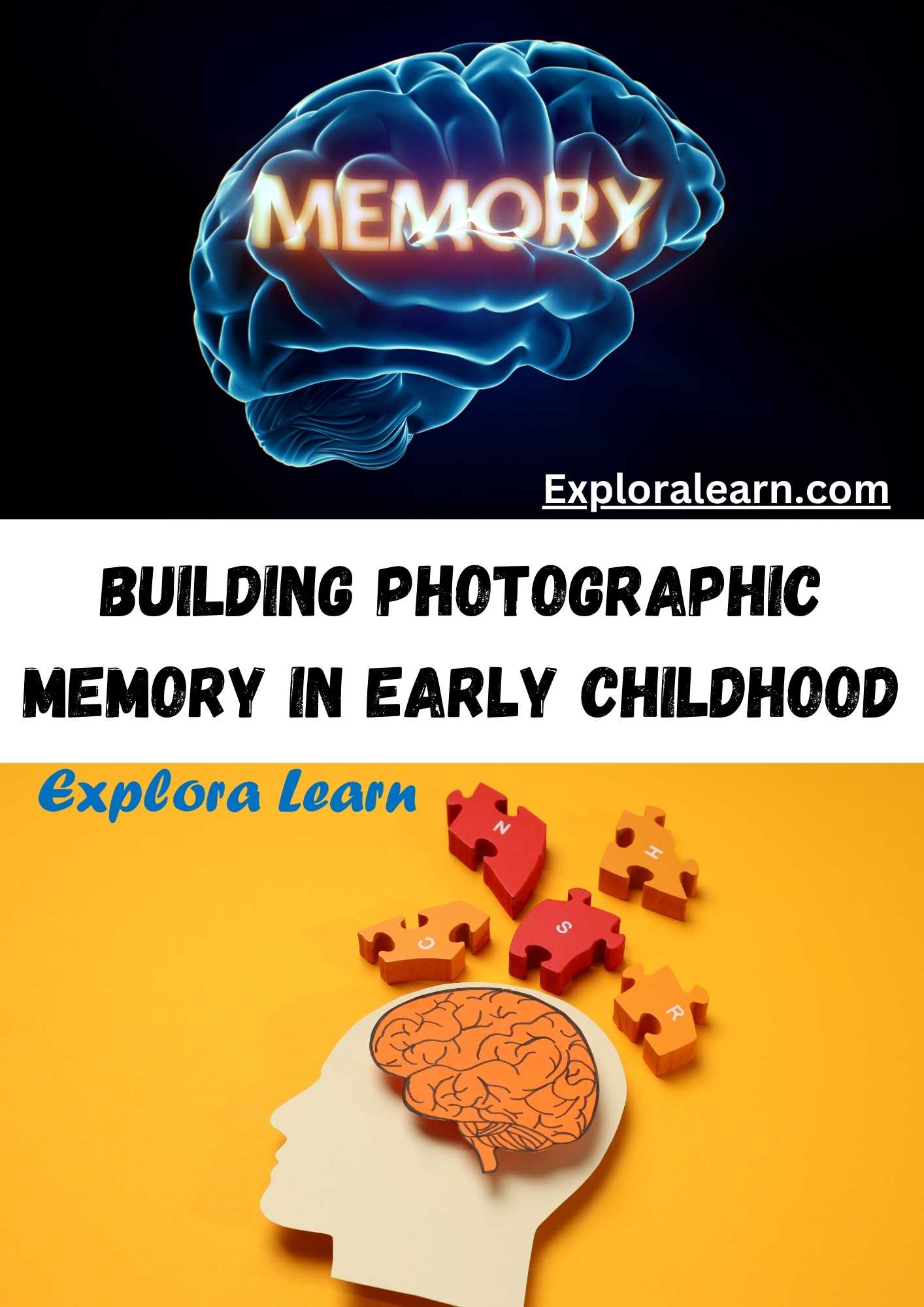 Photographic Memory