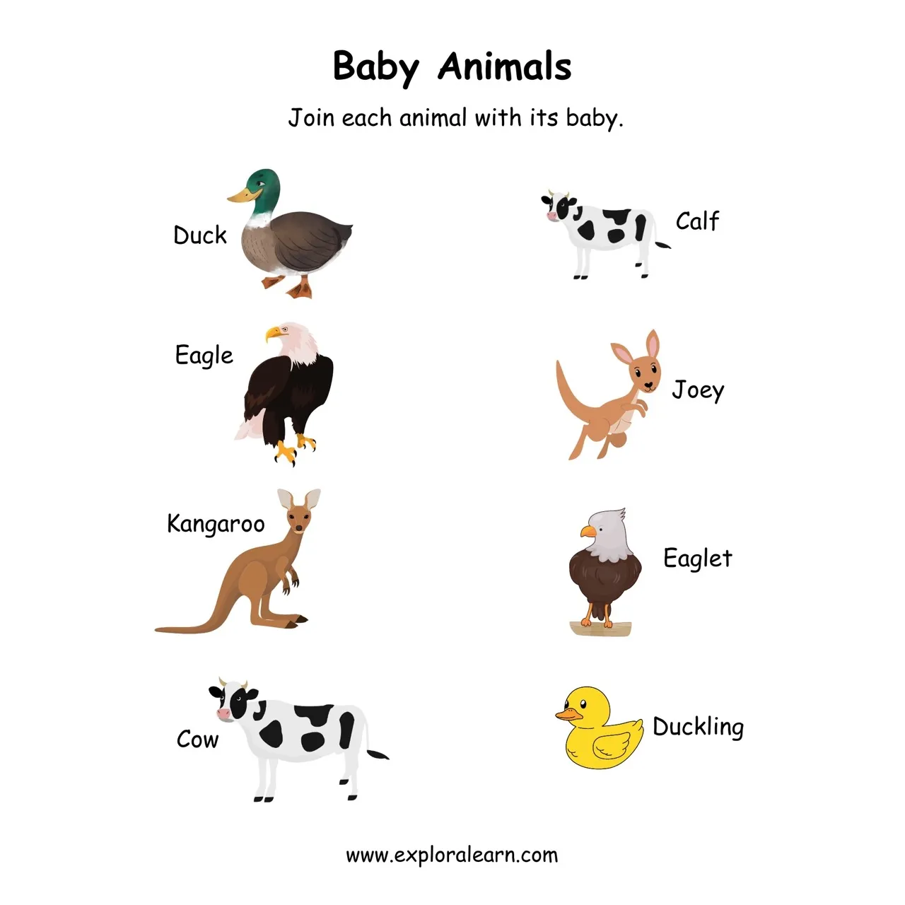 Free Exploralearn Worksheets, Animals Worksheets,Animals and Babies