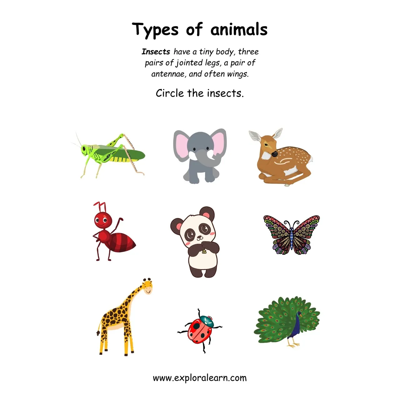 Free Exploralearn Worksheets, Animals Worksheets,Animal Identification