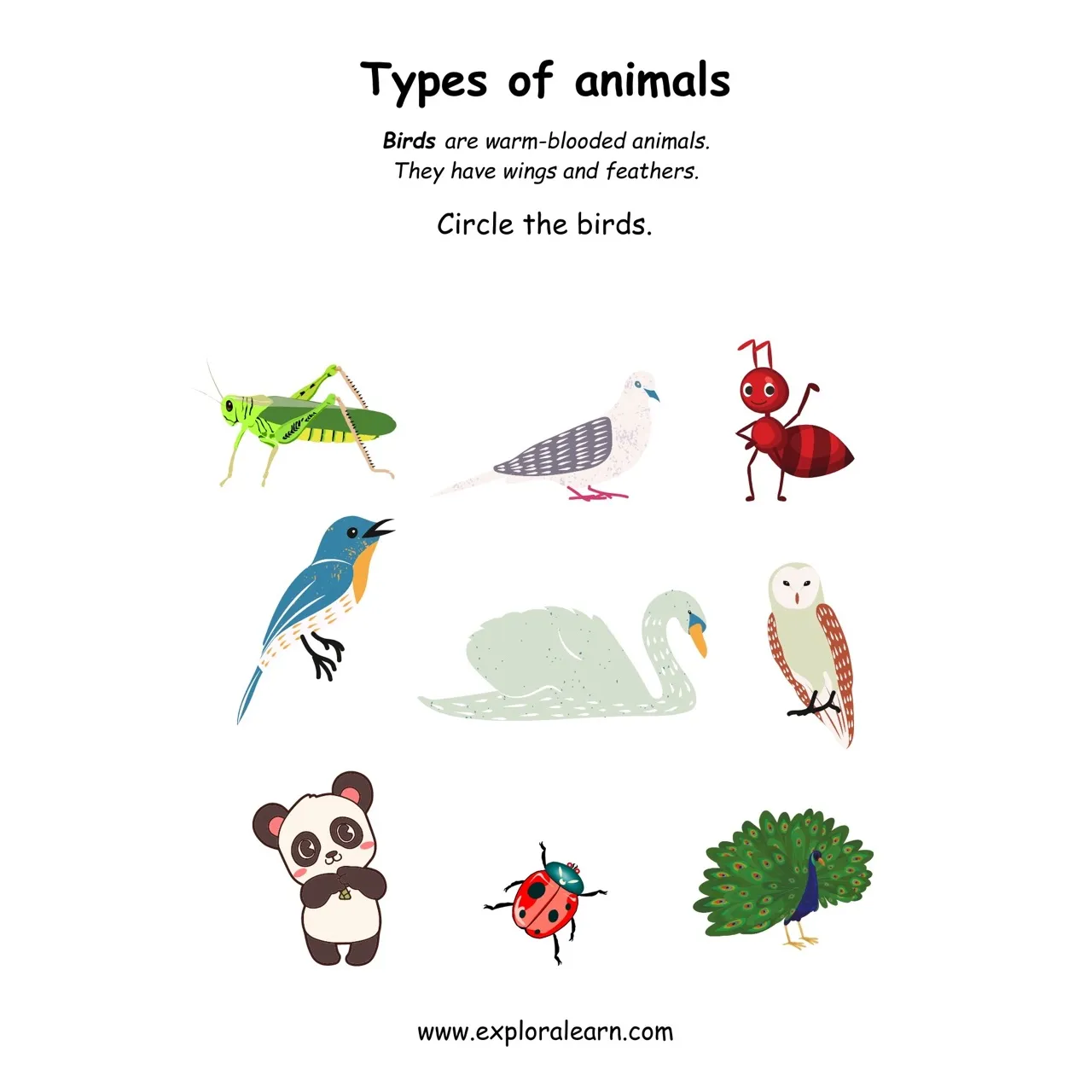 free-exploralearn-worksheets-animals-worksheets-animal-identification
