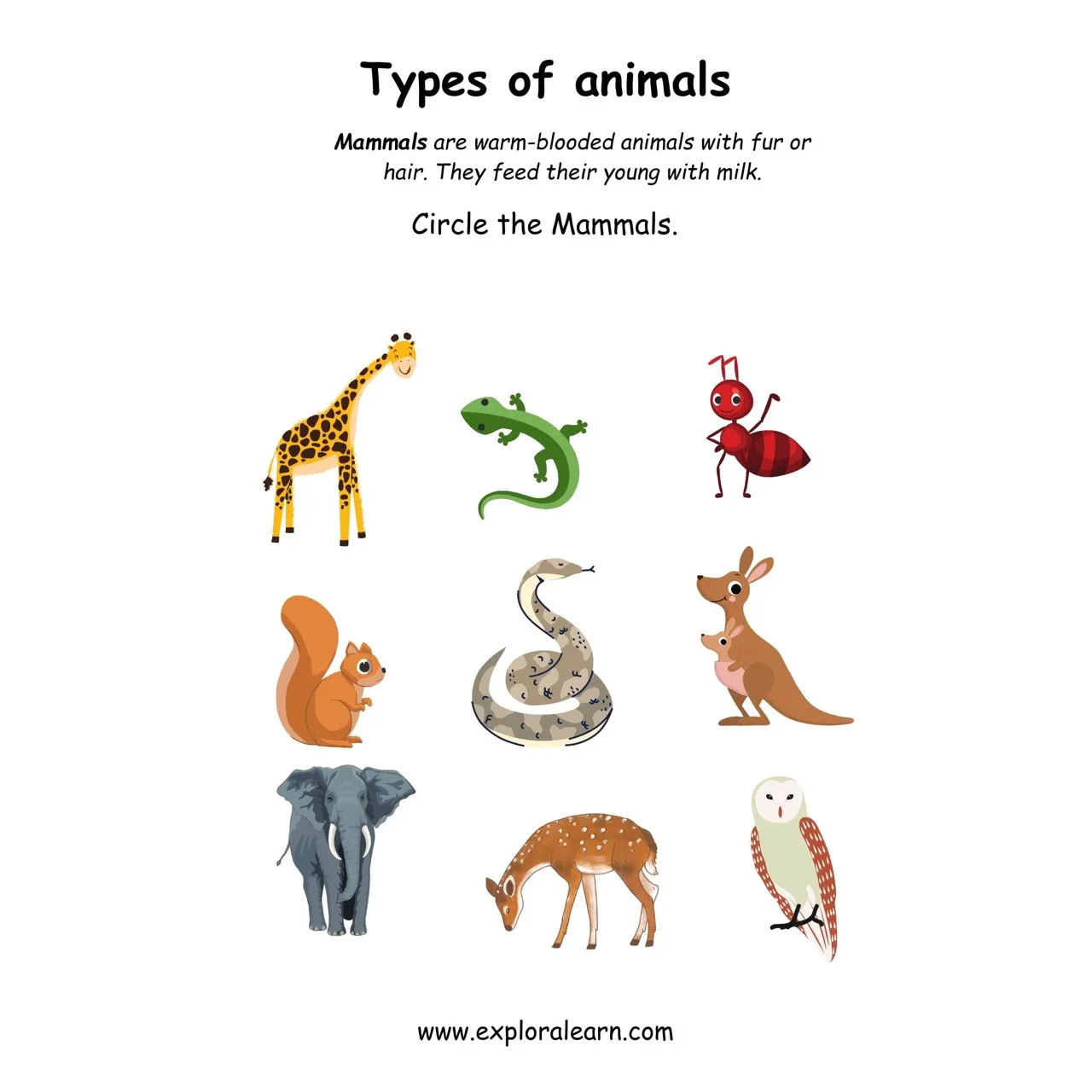 free-exploralearn-worksheets-animals-worksheets-animal-identification