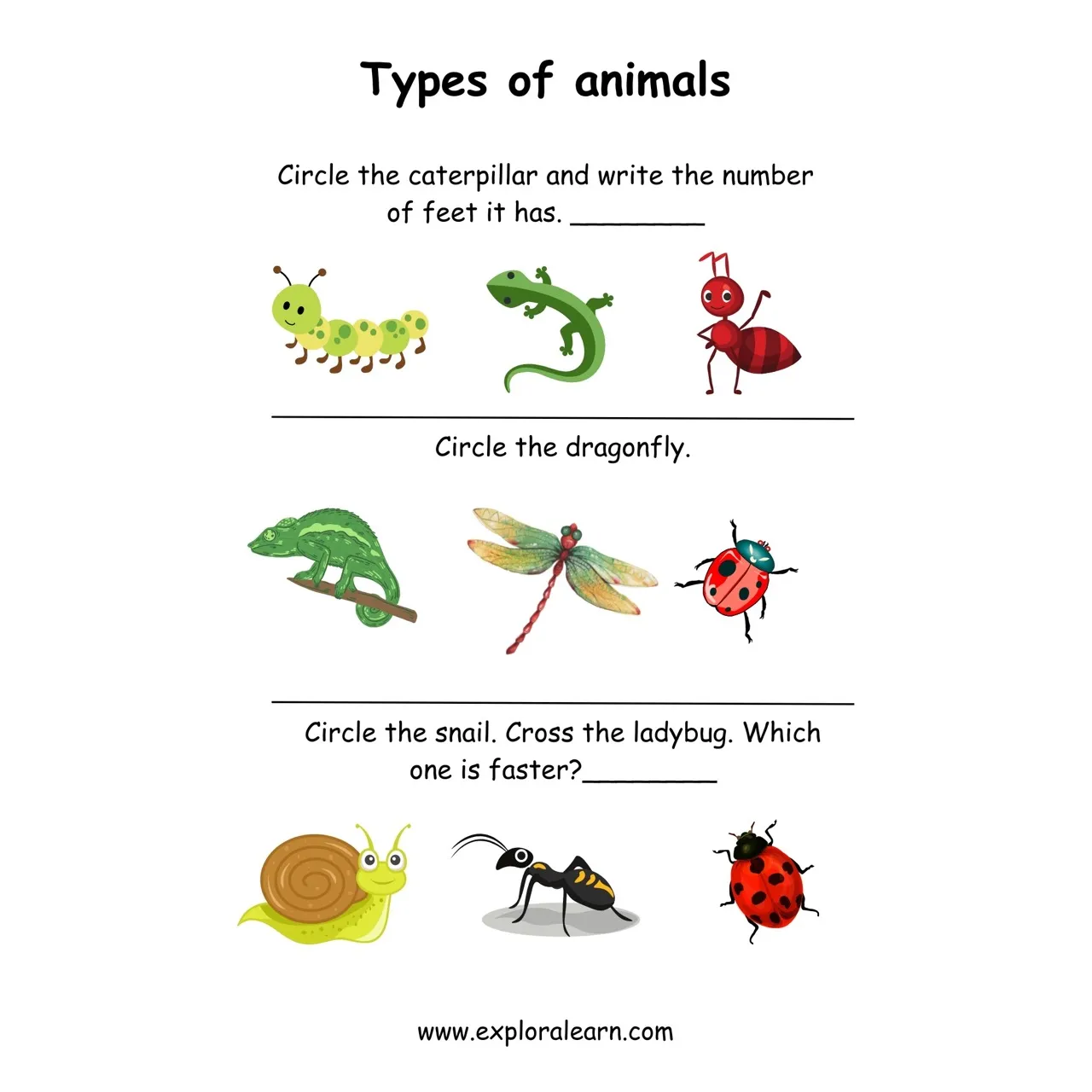 Free Exploralearn Worksheets, Animals Worksheets,Animal Identification