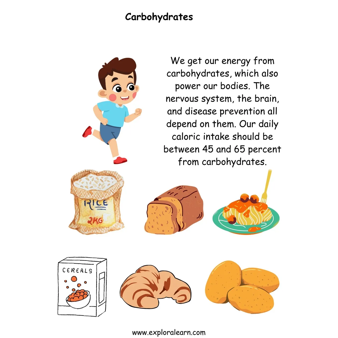 Free Exploralearn Worksheets, Food Groups