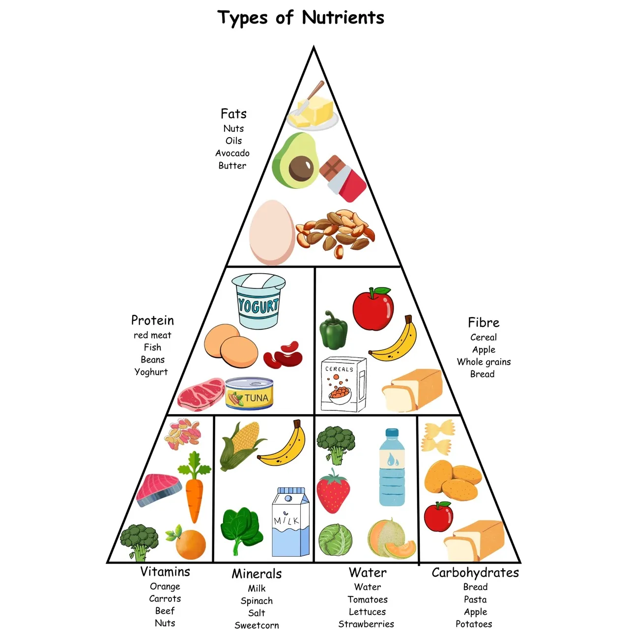 Free Exploralearn Worksheets Food Groups