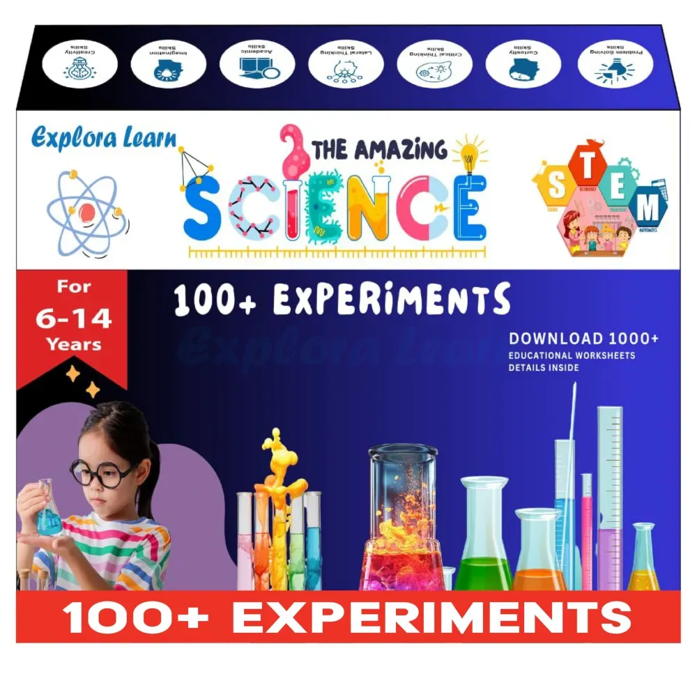 Learning & Education