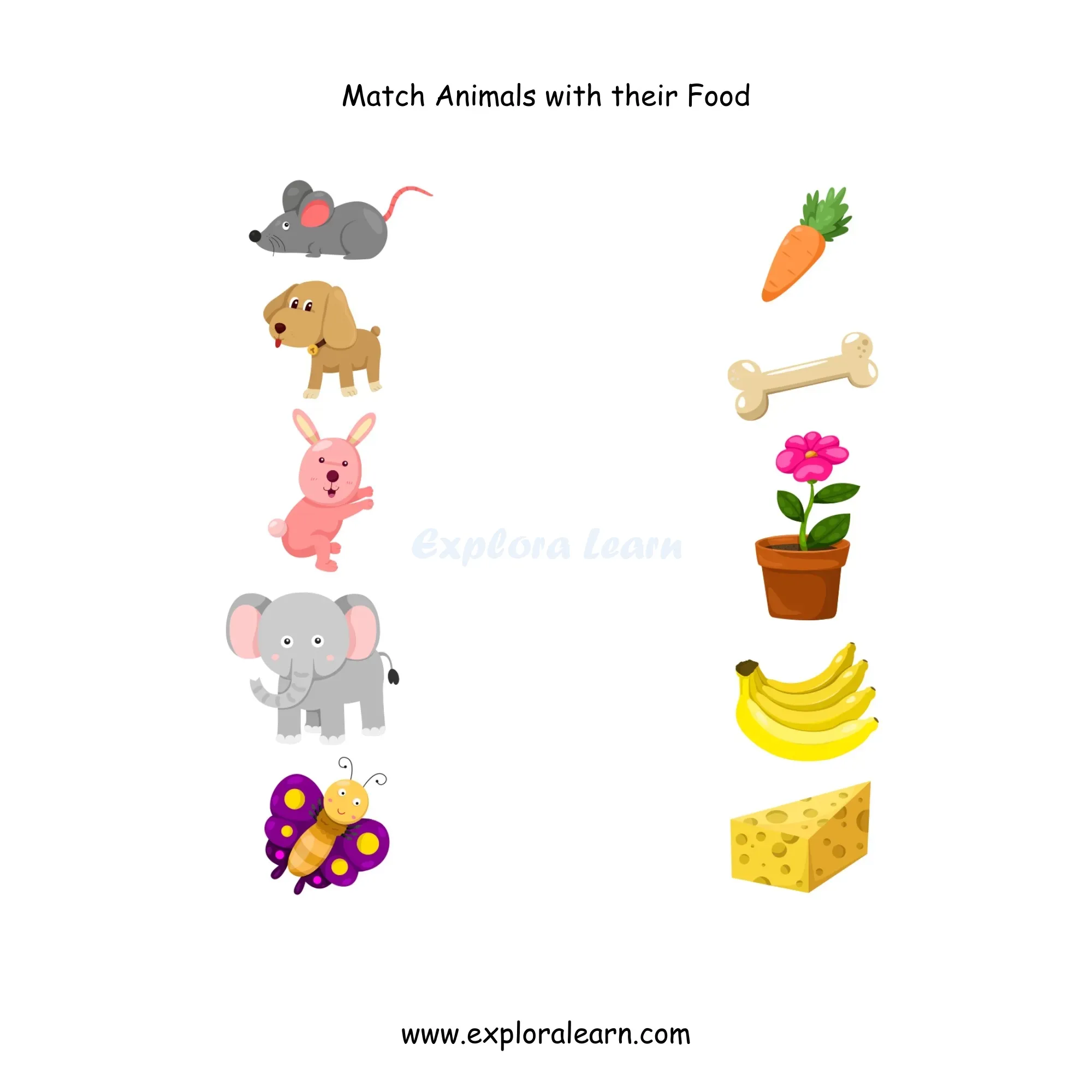Free Exploralearn Worksheets, Animals Worksheets,Animal and Food