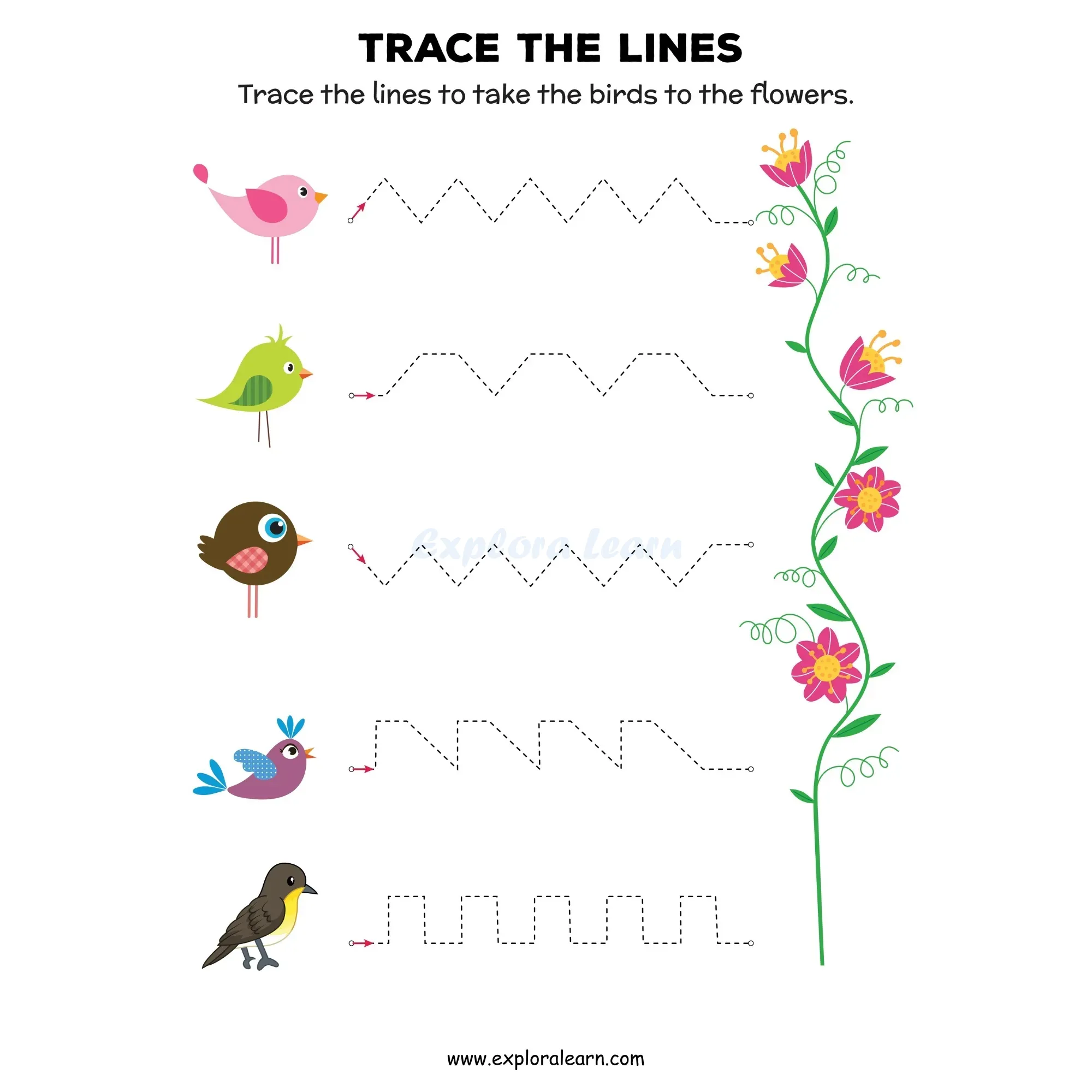 Free Exploralearn Worksheets, Mix Lines Practice worksheet.