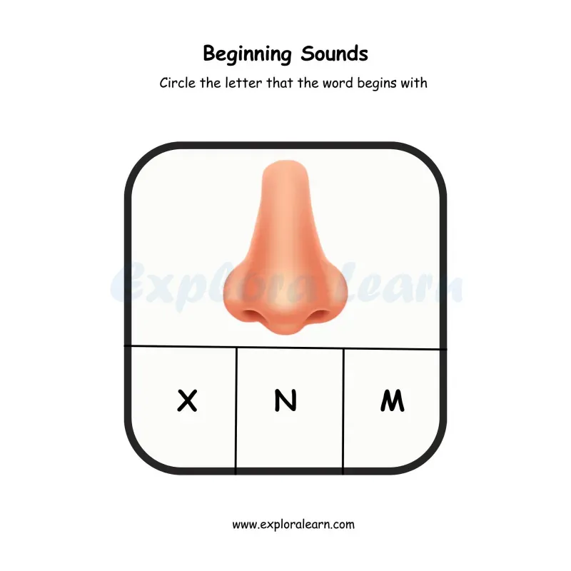 Free Exploralearn Worksheets, beginning sound worksheet n