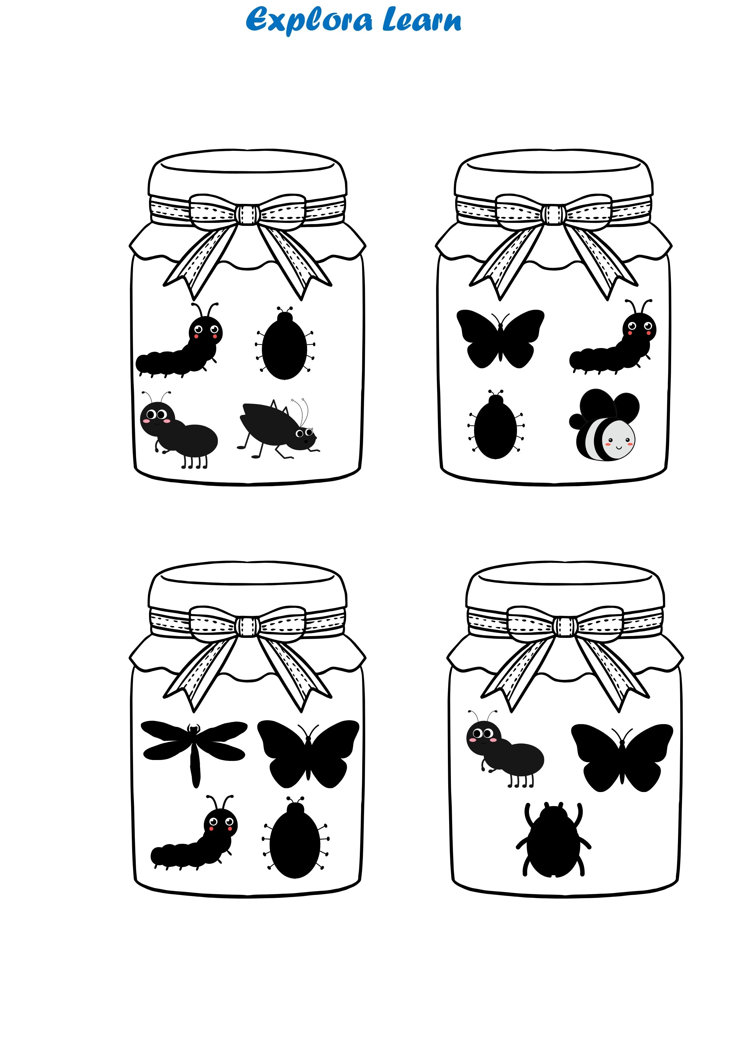 Bug in a jar 3